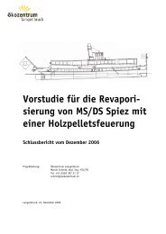 Bericht Revaporisierung MS Spiez - DLM AG