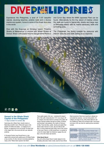 Donsol is the Whale Shark Capital of the - WOW PHILIPPINES