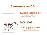 Bienvenue au CDI Lycée Jules Fil 2008-2009