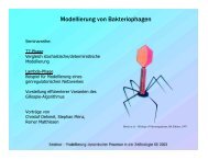 Modellierung von Bakteriophagen