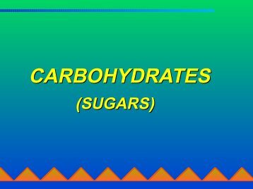 CARBOHYDRATES - Ecu