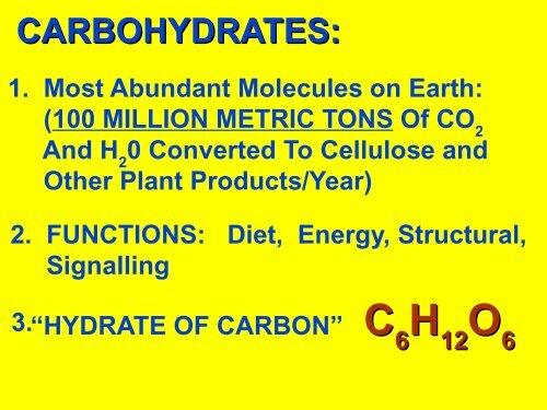 CARBOHYDRATES - Ecu