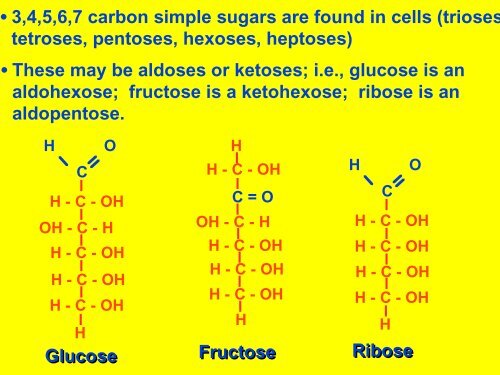 CARBOHYDRATES - Ecu