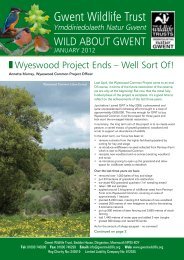 Wild About Gwent January 2012.pdf - Gwent Wildlife Trust