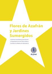 Flores de Azafrán y Jardines Sumergidos - Both ENDS