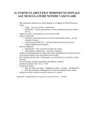 vascular si respirator - OvidiusMD
