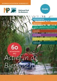 Actief in de Biesbosch!