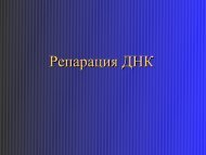 Ð ÐµÐ¿Ð°ÑÐ°ÑÐ¸Ñ2009 March.pdf