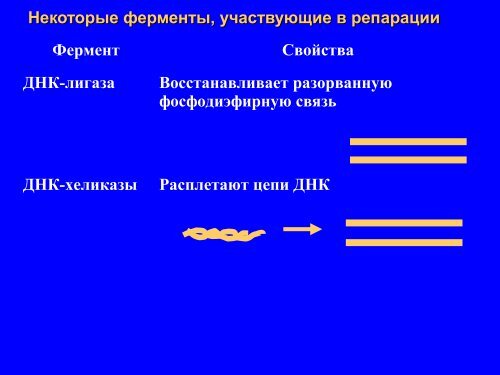 Ð ÐµÐ¿Ð°ÑÐ°ÑÐ¸Ñ2009 March.pdf