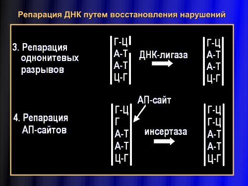 Ð ÐµÐ¿Ð°ÑÐ°ÑÐ¸Ñ2009 March.pdf