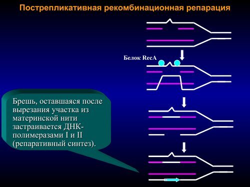 Ð ÐµÐ¿Ð°ÑÐ°ÑÐ¸Ñ2009 March.pdf