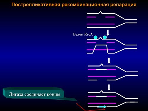 Ð ÐµÐ¿Ð°ÑÐ°ÑÐ¸Ñ2009 March.pdf