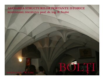 asanarea structurilor portante istorice - Transsylvania Nostra