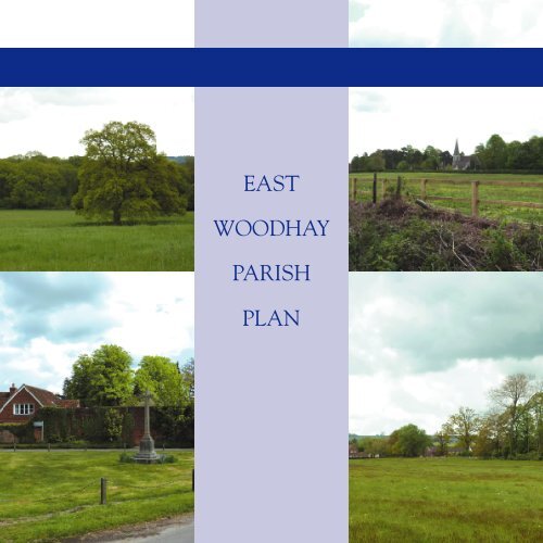 east woodhay parish plan - Basingstoke and Deane Borough Council