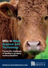 MSc in Meat Science and Technology