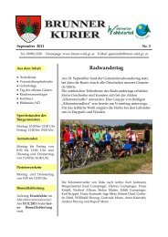 Datei herunterladen (740 KB) - .PDF - Gemeinde Brunn an der Wild