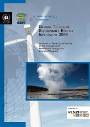 Global Trends in Sustainable Energy Investment 2009 - UNEP ...