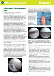 Chapter 2 - Veterinary Instrumentation