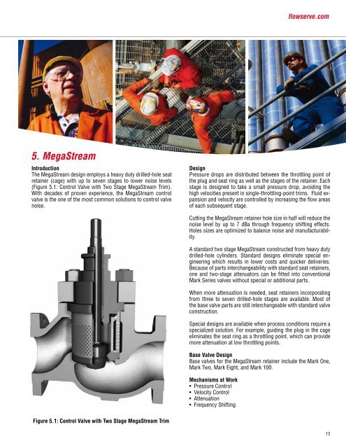 Flowserve Gaseous Noise Control Brochure - Flowserve Corporation