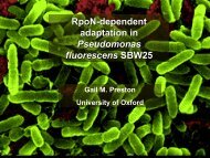 RpoN-dependent adaptation in Pseudomonas fluorescens ... - NERC