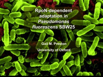 RpoN-dependent adaptation in Pseudomonas fluorescens ... - NERC