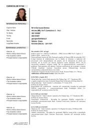 CURRICULUM VITAE 342 1244297 039 615057 georgianitto@alice ...