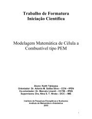 Trabalho de Formatura Iniciação Científica Modelagem Matemática ...