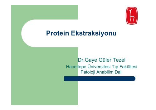 Protein Ekstraksiyonu