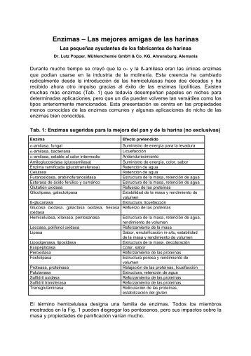 Enzimas â Las mejores amigas de las harinas - MÃ¼hlenchemie ...