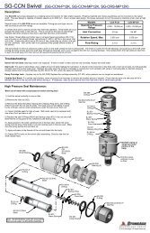 SG-CCN Manual