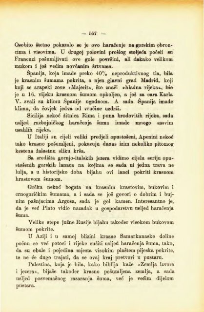 Å UMARSKI LIST 10/1904