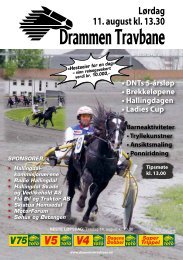 2 - Drammen Travbane