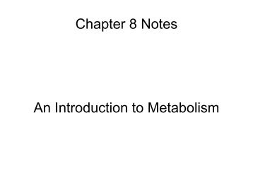 Chapter 8 Notes An Introduction to Metabolism