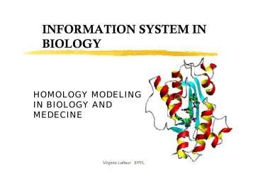 Homology Modeling in Biology and Medicine - LSIR - EPFL