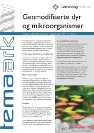 Genmodifiserte dyr og mikroorganismer - Bioteknologinemnda