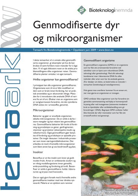 Genmodifiserte dyr og mikroorganismer - Bioteknologinemnda