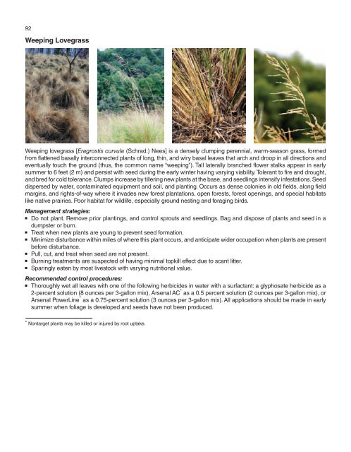 A Management Guide for Invasive Plants in Southern Forests James ...