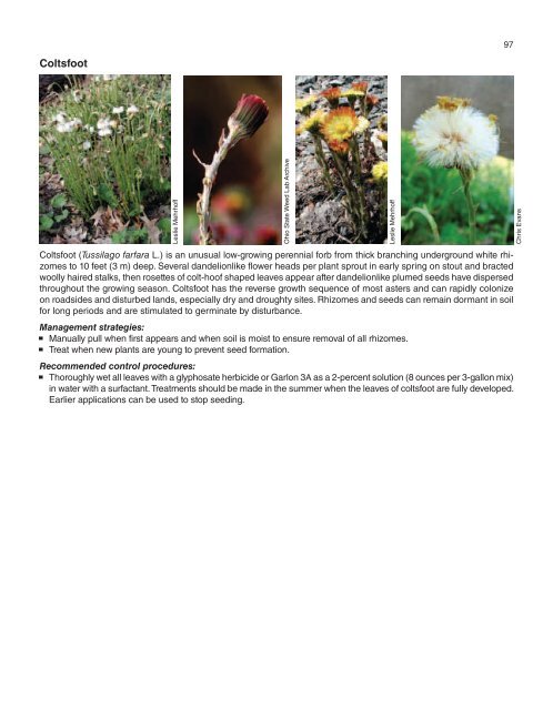 A Management Guide for Invasive Plants in Southern Forests James ...