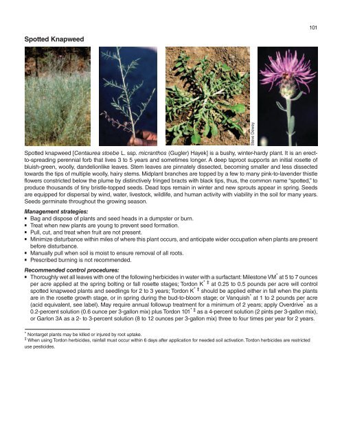 A Management Guide for Invasive Plants in Southern Forests James ...