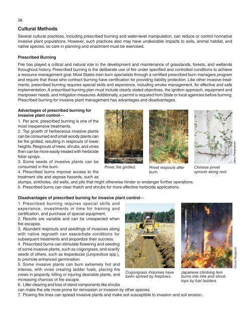 A Management Guide for Invasive Plants in Southern Forests James ...