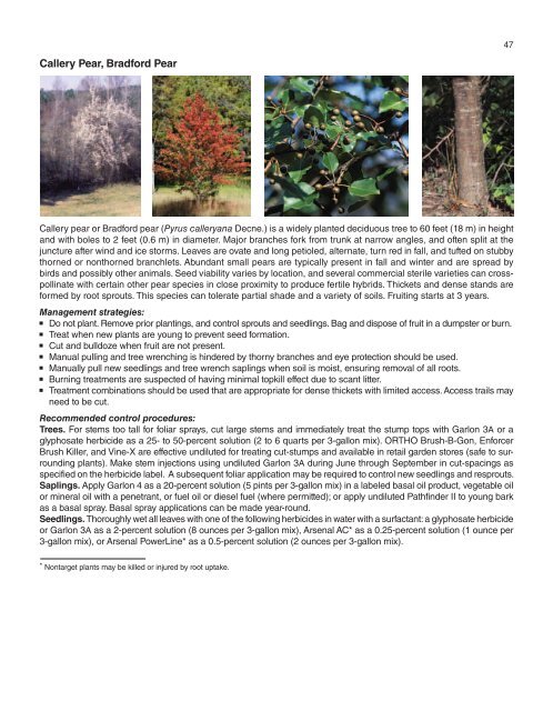 A Management Guide for Invasive Plants in Southern Forests James ...