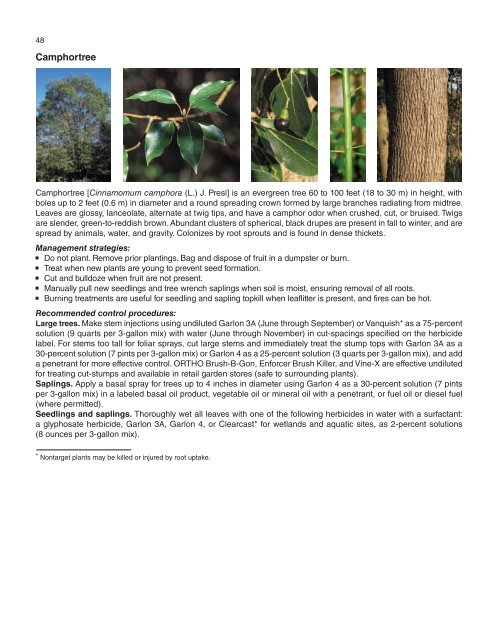 A Management Guide for Invasive Plants in Southern Forests James ...