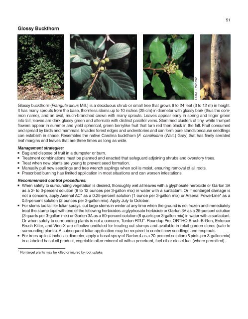 A Management Guide for Invasive Plants in Southern Forests James ...