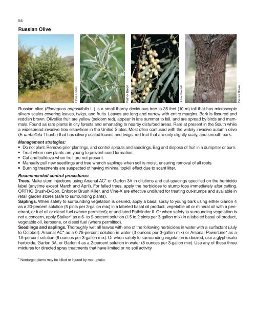 A Management Guide for Invasive Plants in Southern Forests James ...