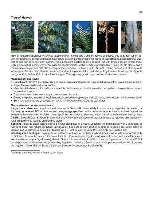 A Management Guide for Invasive Plants in Southern Forests James ...