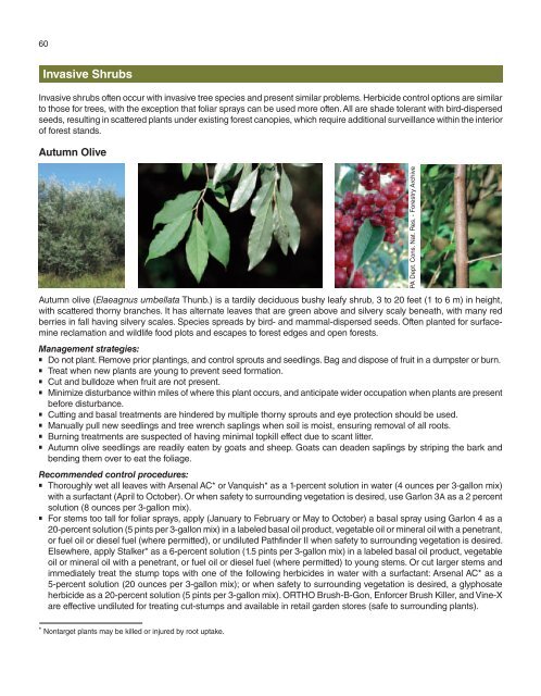 A Management Guide for Invasive Plants in Southern Forests James ...