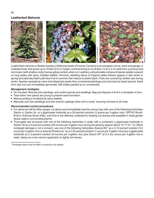A Management Guide for Invasive Plants in Southern Forests James ...
