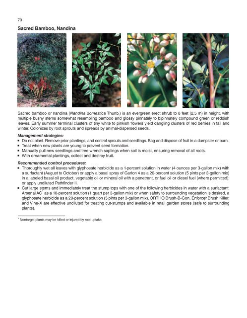 A Management Guide for Invasive Plants in Southern Forests James ...