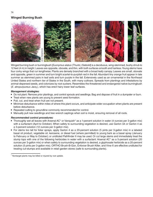 A Management Guide for Invasive Plants in Southern Forests James ...