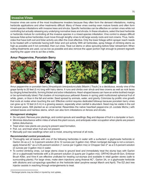 A Management Guide for Invasive Plants in Southern Forests James ...